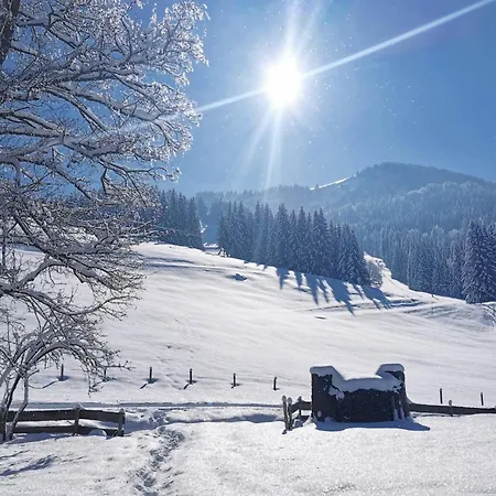 Konstanzer Bergblick Mit Wintergarten Apartment